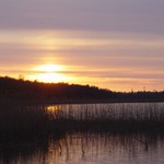 DSC00346.JPG