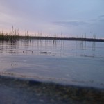 DSC00356.JPG