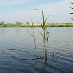 DSC00609.JPG