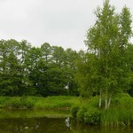 DSC00784.JPG