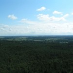 PICT2409.JPG