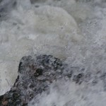 PICT2932.JPG