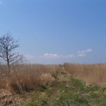 PICT3575.JPG