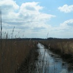 PICT3576.JPG