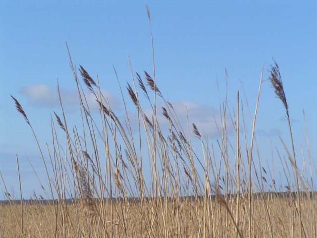PICT3577.JPG