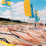 hs06.jpg