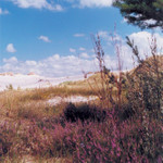 hs09.jpg