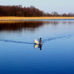 IMG_0010.jpg
