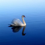 IMG_0014.jpg