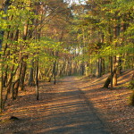 PICT0140