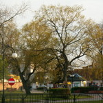 PICT0293