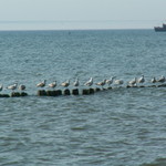 PICT0745