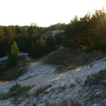 P1020743.JPG