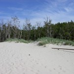 IM005057.JPG