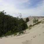 IM005060.JPG