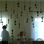 PICT0454.JPG