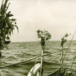nord29.jpg